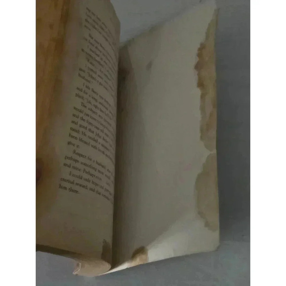 BethanyHouse October Song Book Beige - Picture 5 of 5